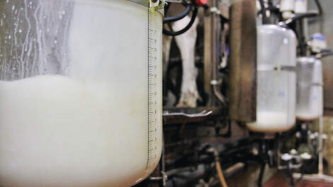 ‘Steek de kop niet in het zand, maar trek tijdig aan de bel’