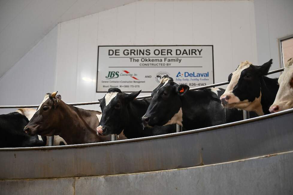 Detail van de carrouselmelkstal bij de familie Okkema.