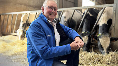 Embryotransplantatie en KI naar een hoger niveau dankzij slimme koemonitoring