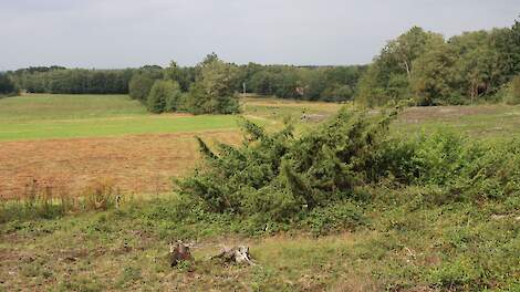 Provincie Overijssel verbood opeens snelle indicatie nitraatuitslagen aan boeren