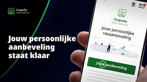 Video: Het juiste ras kiezen: een uitdagende opgave