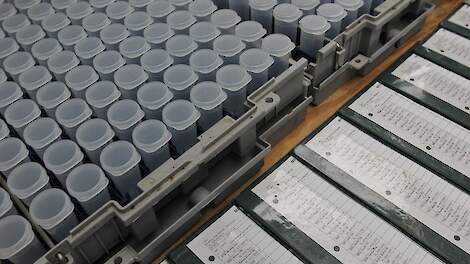 Celgetal Nederlandse melkveehouders daalde met 7,5 procent naar 184.000 cellen per milliliter