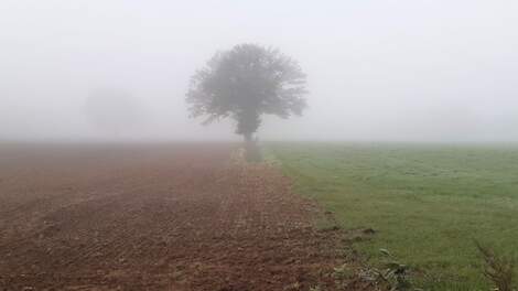Consultatie nieuwe pachtwet loopt af: dit zijn belangrijke aandachtspunten voor boeren