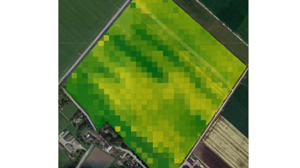 Taakkaarten, biomassa, Grow PEQ Microps, stikstof, eiwit
