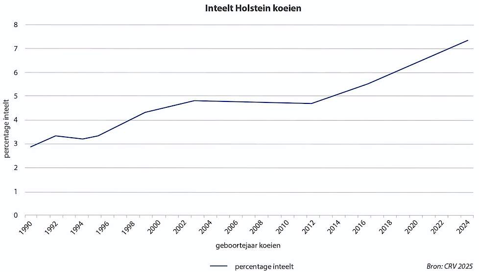 KI-organisaties fokken zuivere rassen.