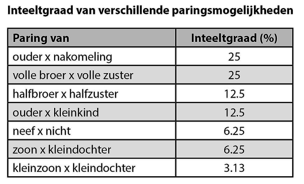 Inteeltgraad paringsmogelijkheden.