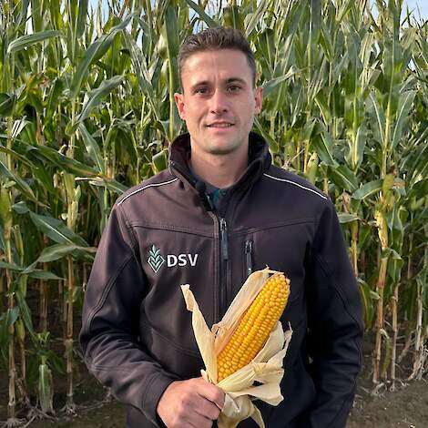 Prodcut manager ruwvoer Roy Kuenen: "Sorghum-Mais Mix&nbsp;is voor veehouders een ideale oplossing.&rdquo;