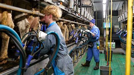 Video: Trentmilk melkt ruim 100 koeien per uur