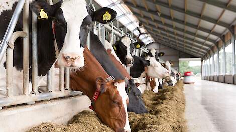 Pensverzuring: Dat wat je niet ziet, kan je ongemerkt veel kosten