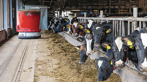 ‘Automatisering loont bij hoge productie per koe’