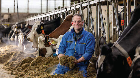 ‘Hoe minder eiwit je voert, hoe gezonder de koe blijft’