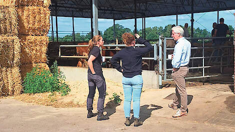 Fieldlab Dierwaardige Veehouderij, netwerk voor praktijkvragen