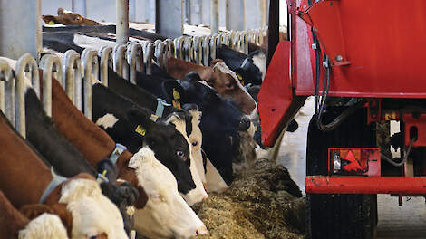 Voerrobot mengt rantsoen fijner dan (slimme) mengwagen