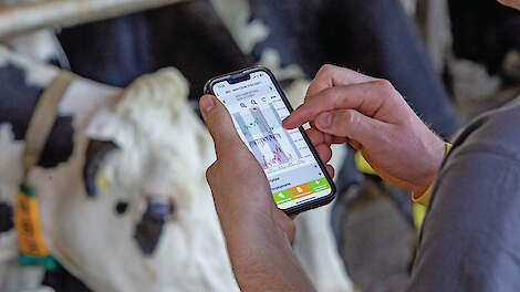 Data worden pas waarde door actie