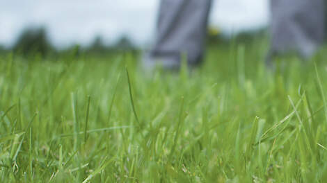 Column: Verras je gras voordat je gras jou verrast!