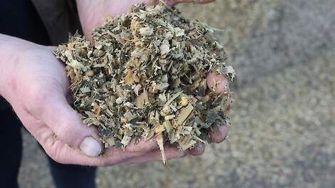 VEM opbrengst mais verhogen