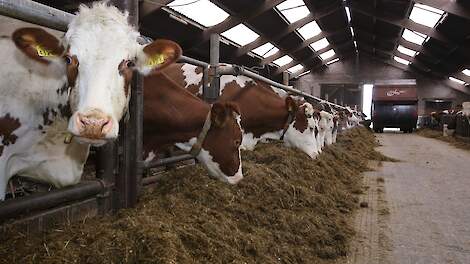 Agro Vertrouwensindex onder druk: zorgen bij melkveehouders houden aan