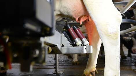 Stijging omgevingsbacteriën vraagt om een andere kijk op speendesinfectie.