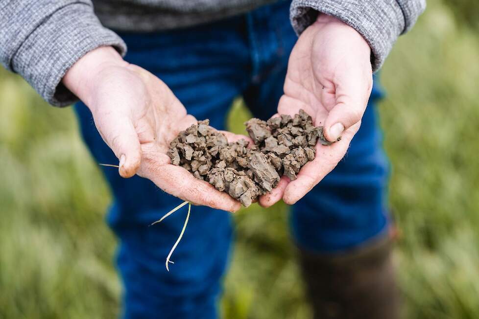 klei in zand zandgrond inmenging klei