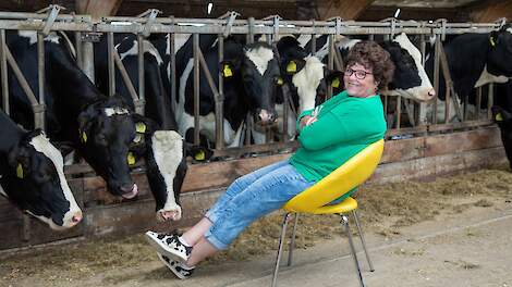 Verbinden tussen stal, dorp en Staten