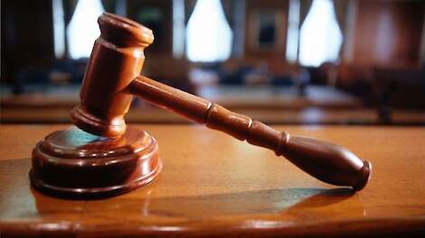 Melkveehouder in uiterwaard moet strijd tegen aanleg geul Maas opgeven