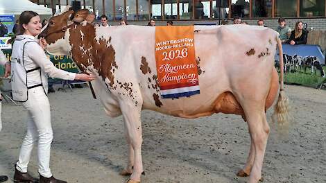 Fotoserie: F.D.H. Amber algemeen kampioen Wintershow Noord-Holland