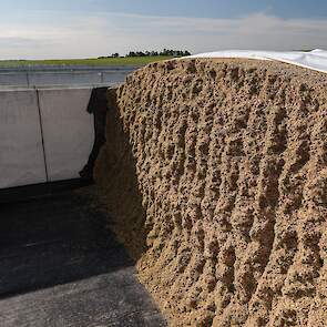 Snijvlak in sleufsilo