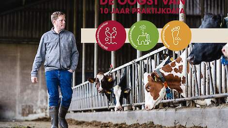 Video: Een laag stikstofbodemoverschot: zo doet André de Groot dat