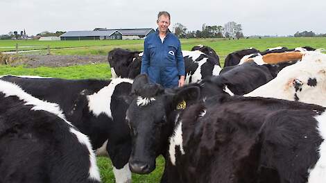 ‘Met de kop der foar’: Marten de Jong behaalt klimaatwinst op zijn weidebedrijf dankzij voeraanpassingen en kavelpad