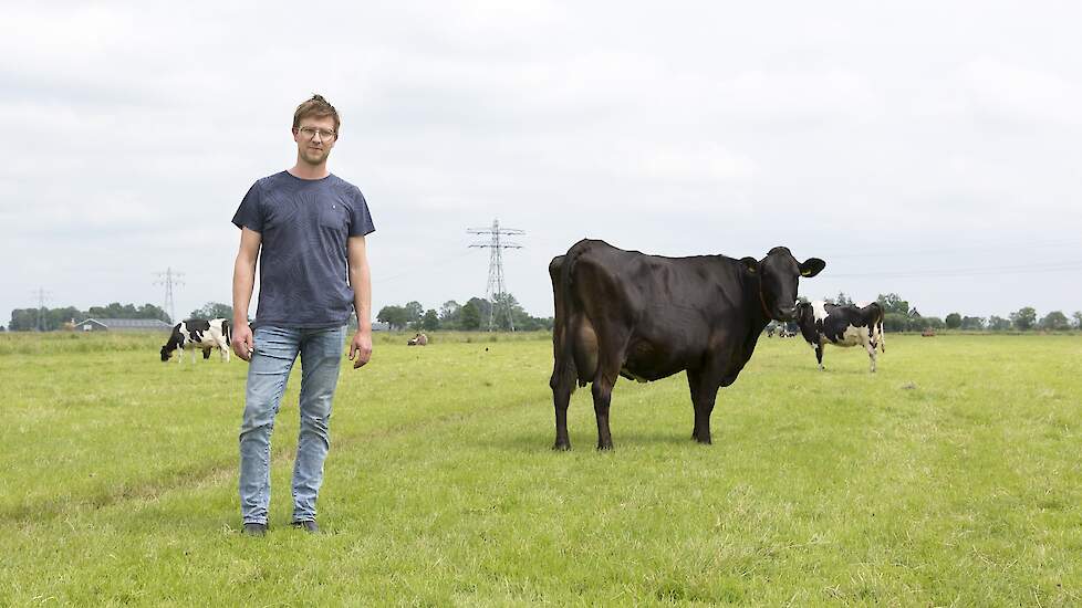 Minder koeien en meer gras: Christiaan van Dalfsen kiest bewust voor extensief boeren op veengrond