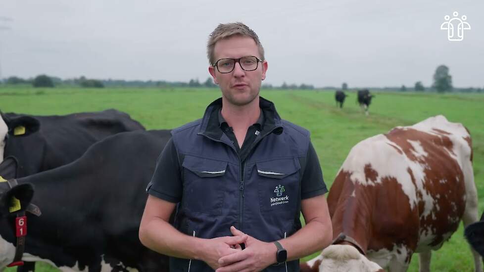 Ammoniak-reducerende maatregelen op klei-en veen grond, met effect | Netwerk Praktijkbedrijven