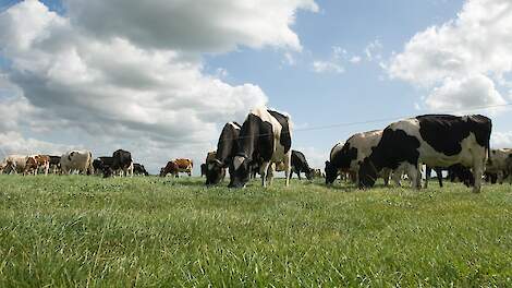 Column: Samen met je adviseur de ruimte opzoeken