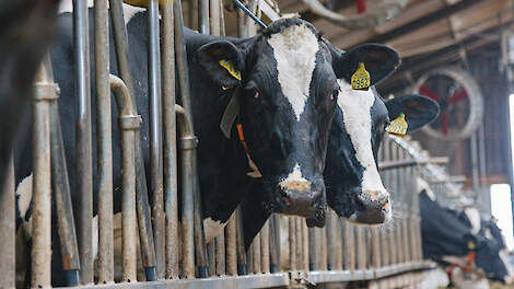 WOZ van bedrijf PAS-melder lager