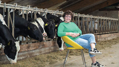 Column: Verbinden tussen stal, dorp en Staten