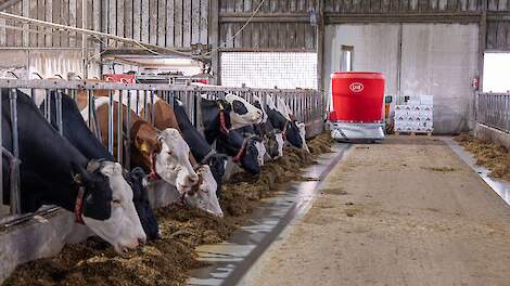 Automatisch voeren in de praktijk: kijkje op melkveebedrijven