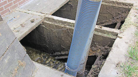 Gerichte steekproef mestvoorraad