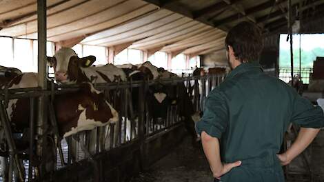 Melkveehouders gematigd positief over toekomst