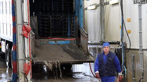 LTO: Europese dierziektensituatie onrustig