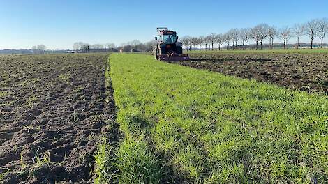 Video: Grasland scheuren voor mais zaaien
