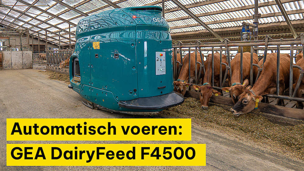 Automatisch voeren: GEA DairyFeed F4500