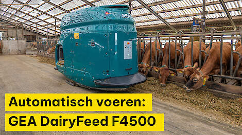 Automatisch voeren: GEA DairyFeed F4500