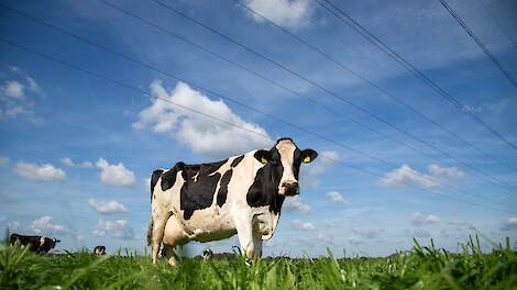 Kabinet streeft naar norm rond grondgebondenheid in 2032