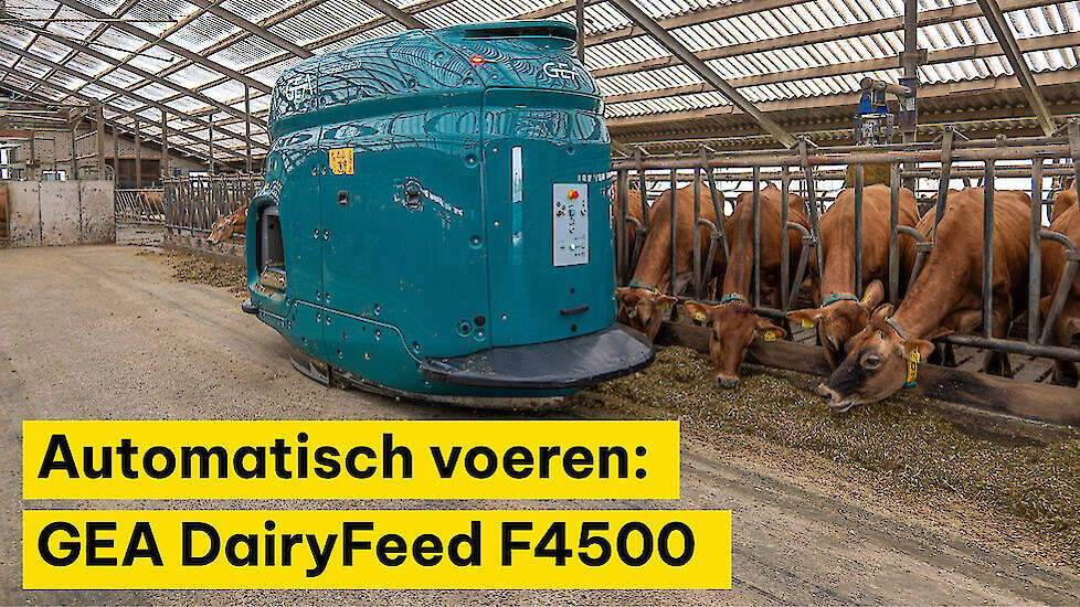 Automatisch voeren: GEA DairyFeed F4500