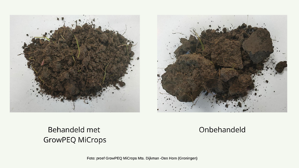 GrowPEQ MiCrops behandelde bodem is veel losser van structuur.