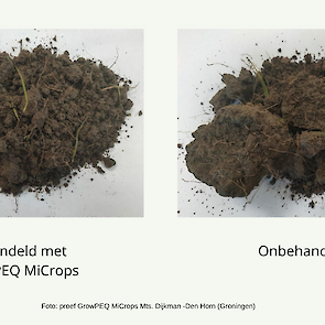 GrowPEQ MiCrops behandelde bodem is veel losser van structuur.