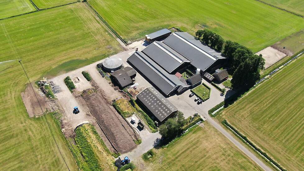 Stalbeeld van Familie van der Haar