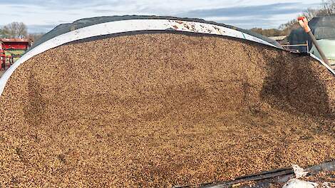 Wat is Sodagrain Power en wanneer zet je het in bij melkvee?