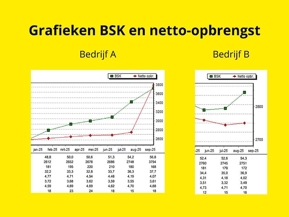 Grafieken BSK en netto-opbrengst na voerproeven Sodagrain Power