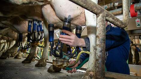 Nederlandse melkaanvoer stijgt in februari ondanks lagere melkprijs