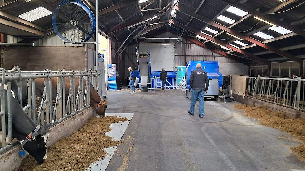 DeLaval Optimat automatisch voersysteem in werking in de stal bij melkveebedrijf Nijstad in Echten.